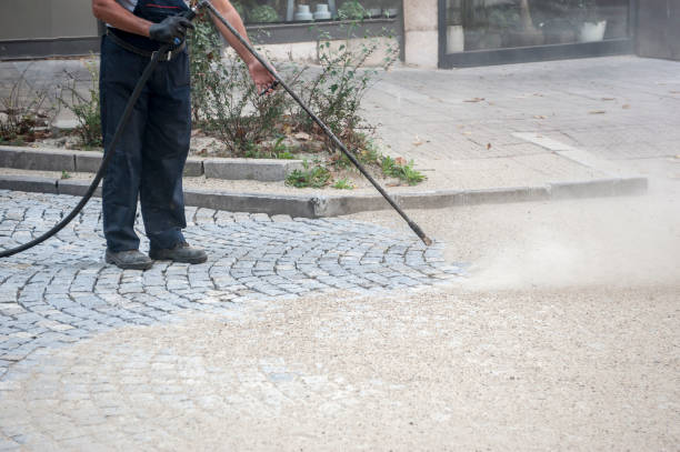 Trusted Trappe, PA Pressure Washing Services Experts